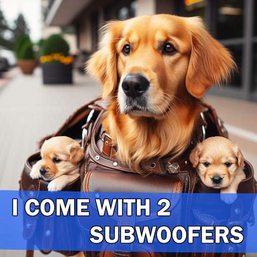 Sub Woofer Air Conditioning Expert