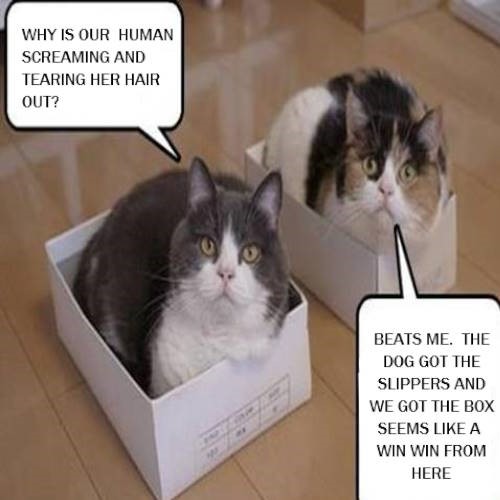 Air Conditioning Installation Brisbane